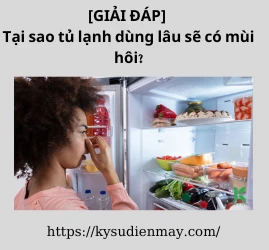 [GIẢI ĐÁP] Tại sao tủ lạnh dùng lâu sẽ có mùi hôi?