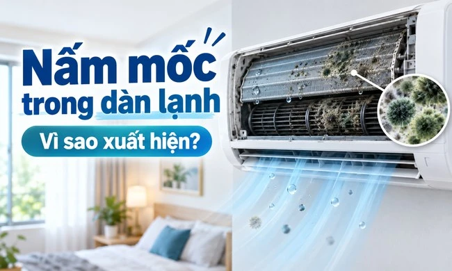 Vì sao nấm mốc có thể phát triển trong dàn lạnh điều hòa?