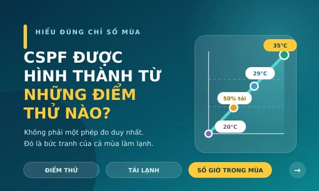 CSPF được hình thành từ những điểm thử nào?