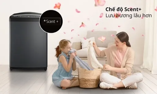 Hương thơm bền lâu, quần áo mềm mại với Scent+