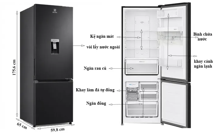 thông số kỹ thuật Tủ Lạnh Electrolux 335 Lít EBB3462L-B
