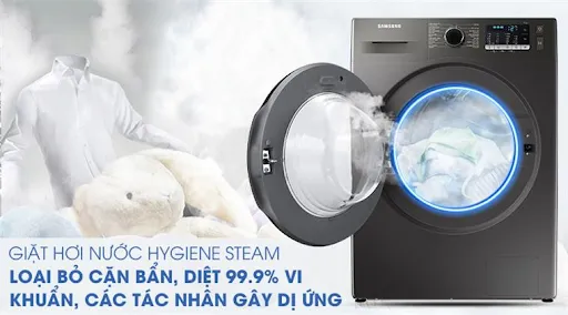Tiêu diệt vi khuẩn, ngăn ngừa dị ứng nhờ hơi nước nóng Hygiene Steam