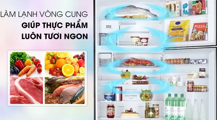 Bảo vệ thực phẩm với hệ thống làm lạnh vòng cung