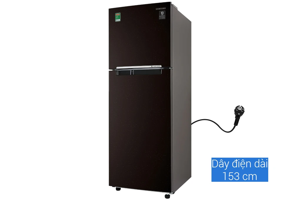 Tủ Lạnh Samsung Inverter 236 lít RT22M4032BY/SV