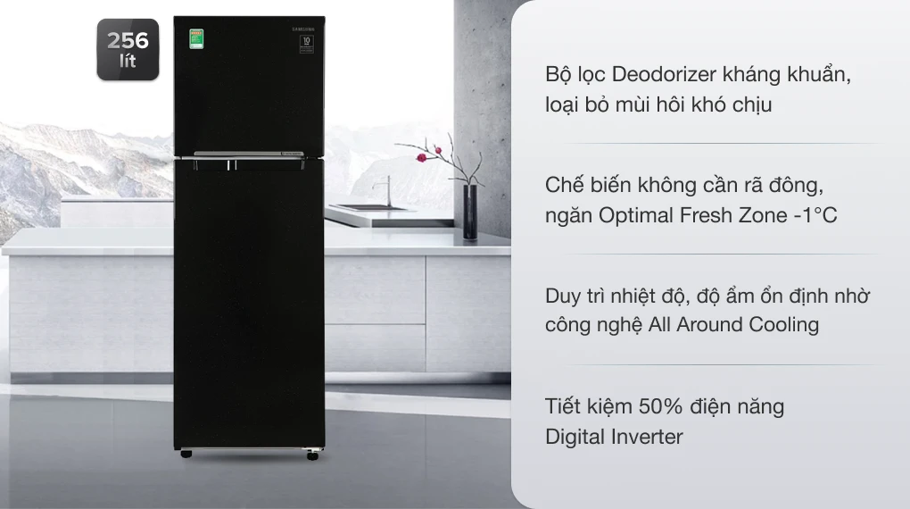 Tủ Lạnh Samsung Inverter 256 lít RT25M4032BU/SV